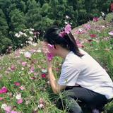 小子意的vlog头像