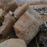 依然那么拉风520头像