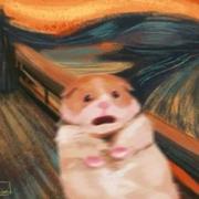 screamsyk的个人资料头像