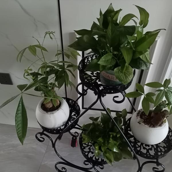 端庄冰淇淋gMKk36头像