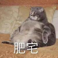 滑天下之大稽G头像