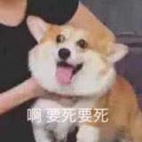 梦想9820129972085头像