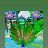 家和富贵4l5v头像