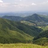 添长递酒头像