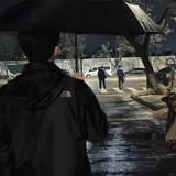别陪我看日落76头像