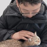 明城一夏头像