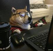 狂奔DE蜗牛的个人资料头像