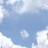 用户88786291025头像