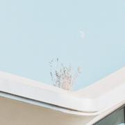 OrionWang的个人资料头像