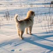 小太阳158的个人资料头像