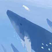 fanfou的个人资料头像