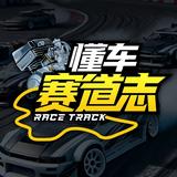 懂车赛道志头像
