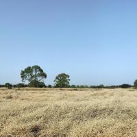 用户3522433040735头像