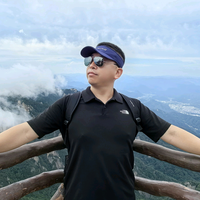 远见卓识菠萝I21头像