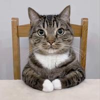 有纯度的火影食堂头像