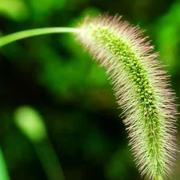 yy恒的个人资料头像