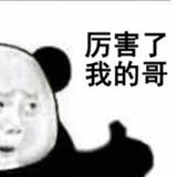 恋上赛丽亚头像