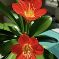 爱生活伊夫林9b2头像