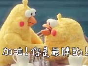 samuelandkevin的个人资料头像