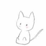 不停455的个人资料头像