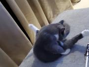 这是一个奇怪的id的个人资料头像