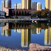 顶级清风zA头像