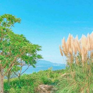 临夏房地产段头像