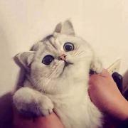 Feng洒的个人资料头像