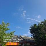 燃子木头像