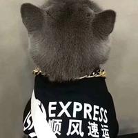 Mrhan29头像