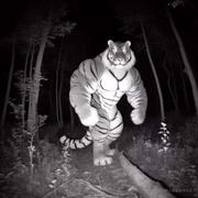 用户78135095597的个人资料头像