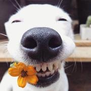 distance295的个人资料头像