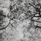 悄悄爱学习的个人资料头像