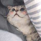用户1258352853982头像