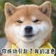莫离6633头像