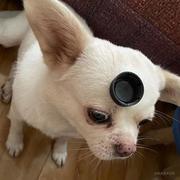 陈肯的个人资料头像