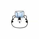 王越在掘金的个人资料头像