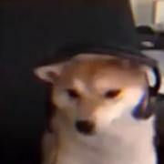 AqingCyan_的个人资料头像