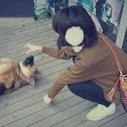 爱人与狗的个人资料头像