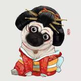 爱吃土豆882头像