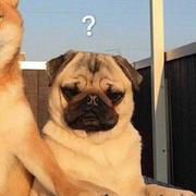 A961的个人资料头像