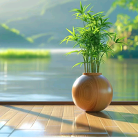 不凡暖阳A55头像