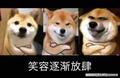 哎呀我的名字都要抢头像
