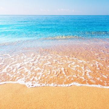 诗意海浪T头像