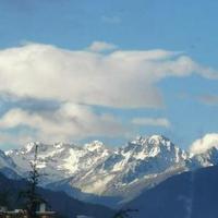 大山64534782头像
