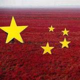 博学艾罗1O8头像