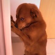 黄俊832的个人资料头像