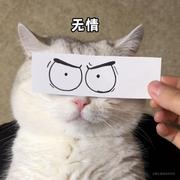 z2huo的个人资料头像