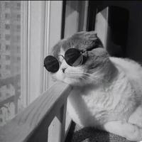 用户7211472807056头像