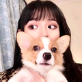 喵小咪头像